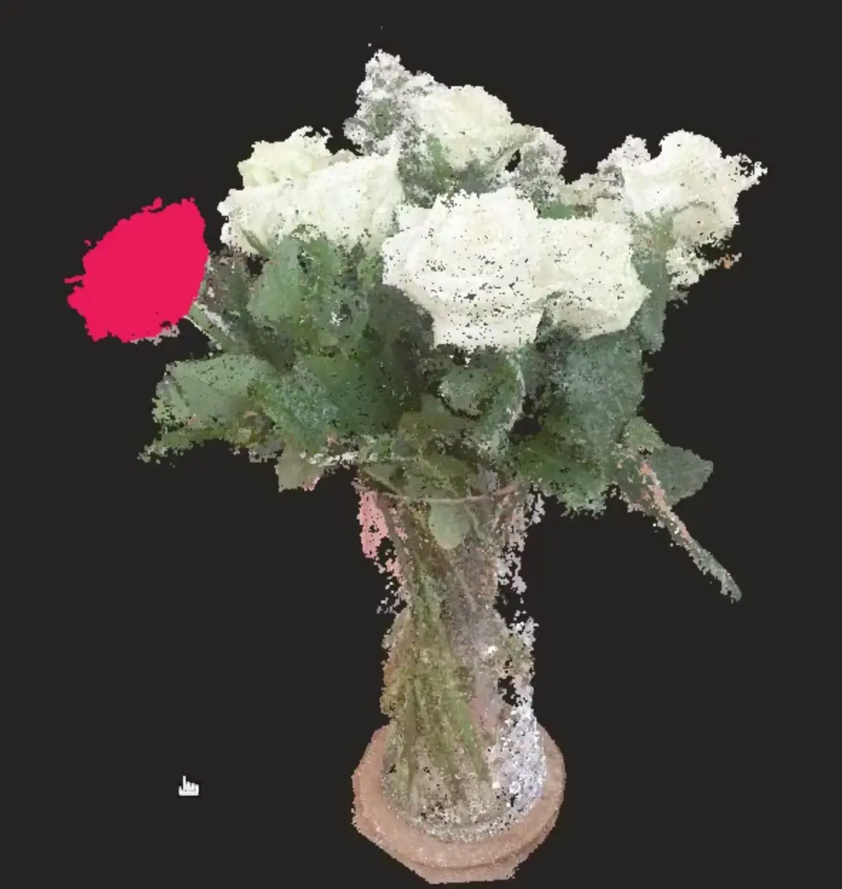 Flowers 3D point cloud segmentation