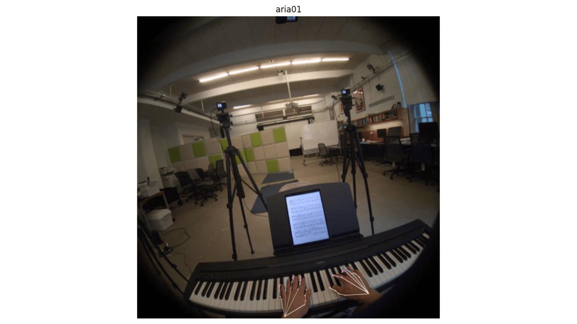 Egocentric keypoint.png