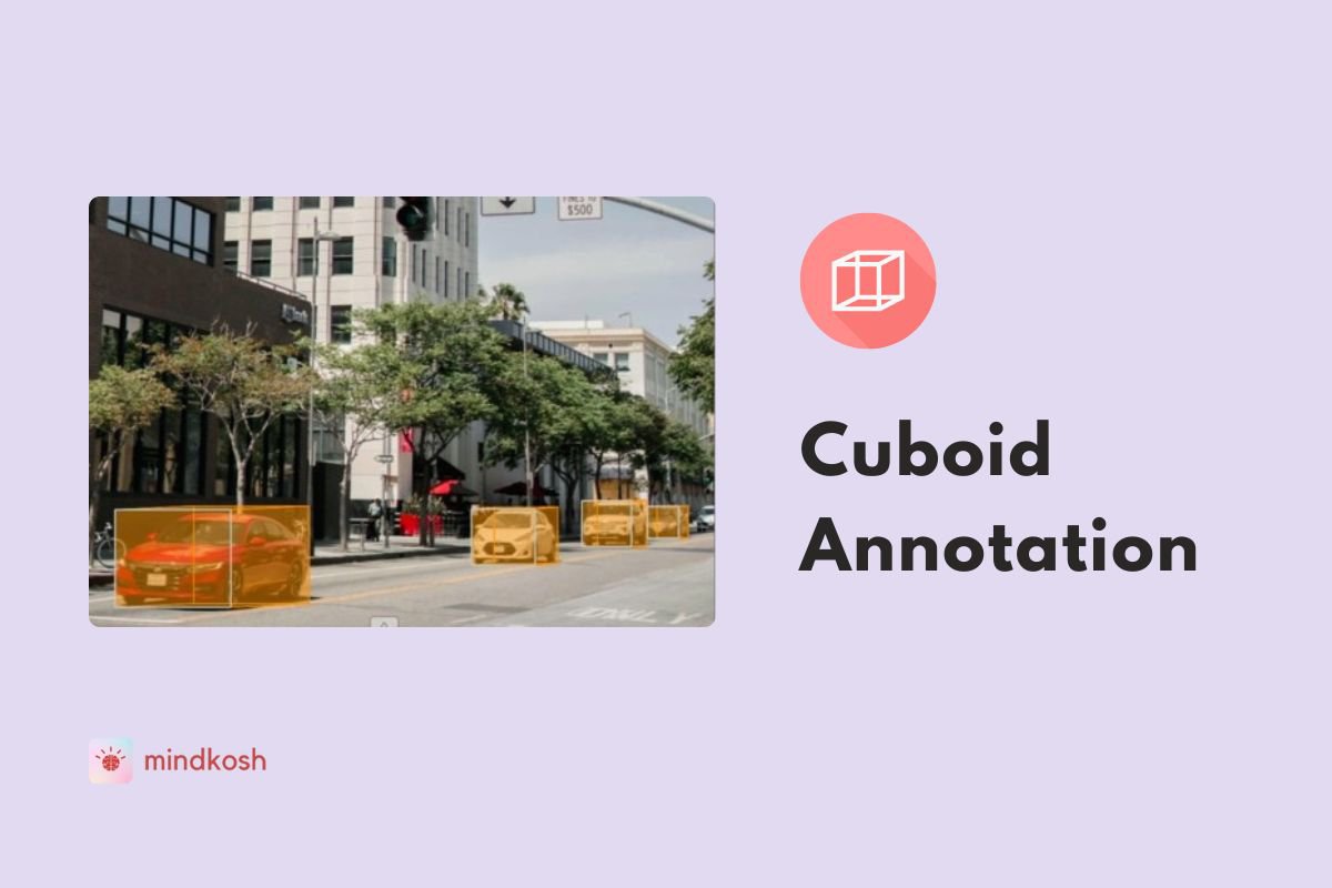 Improving object detection with Cuboid annotation