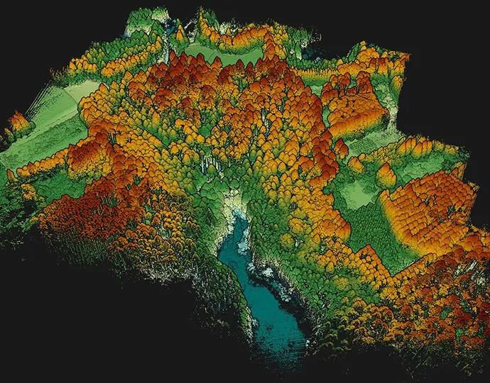 forest-management-lidar